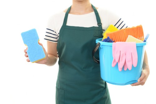 Low-carbon van and recycling separation supporting Pimlico carpet cleaning services