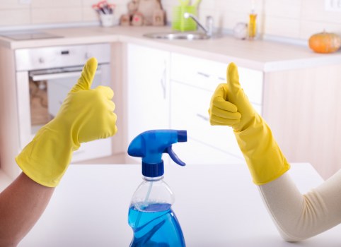 Professional mattress cleaning in Pimlico with deep cleaning equipment