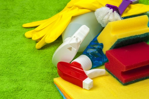 Reviewing details for a carpet cleaning complaint