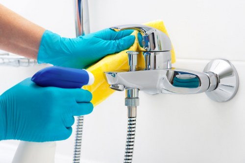 Steam carpet cleaning service in a Pimlico home