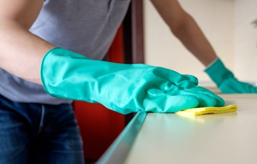 Deep carpet extraction cleaning in Pimlico