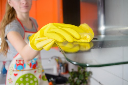 Dust removal from curtains in a Pimlico home